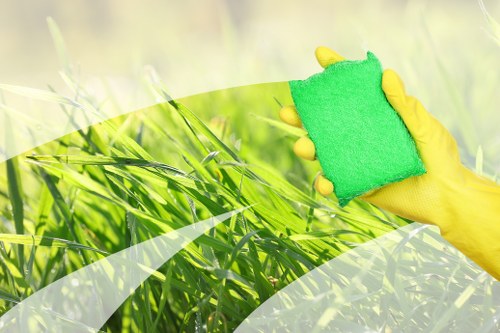 Professional carpet cleaning in a Haringey home interior