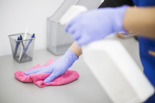 Carpet cleaning team in Haringey using sustainable waste sorting practices