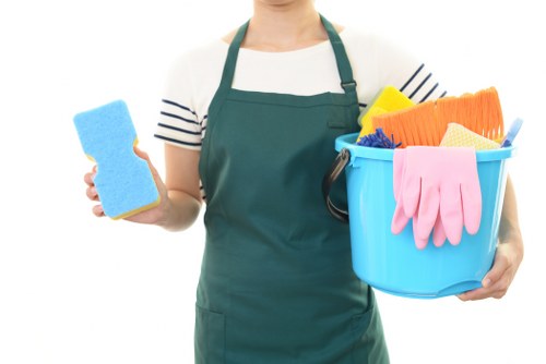 Professional sofa cleaning in a Haringey home living room