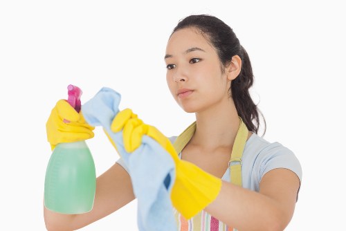 Steam cleaning for carpets in Haringey rental property