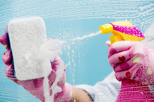 Local carpet cleaner preparing treatment for a busy home