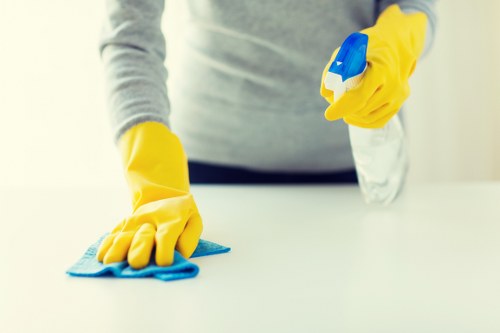 Stain removal and deep carpet care in Haringey