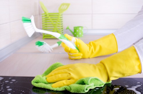 Specialist cleaning process for stain removal in Haringey