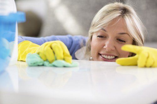 Fresh and clean home after pet stain odour removal service