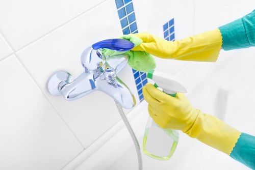 Steam cleaning equipment used for carpet cleaning in Haringey