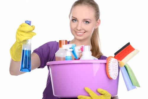 Clean and fresh living room furniture after upholstery care