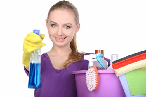 Specialist cleaning for stubborn pet stains in a Haringey home