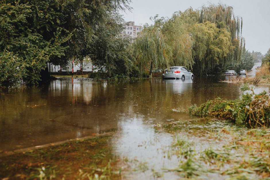 A worker in waterproof clothing, including a blue jacket and a blue baseball cap, is standing knee-deep in murky floodwater behind a green metal fence. The worker is using a long-handled tool, likely 